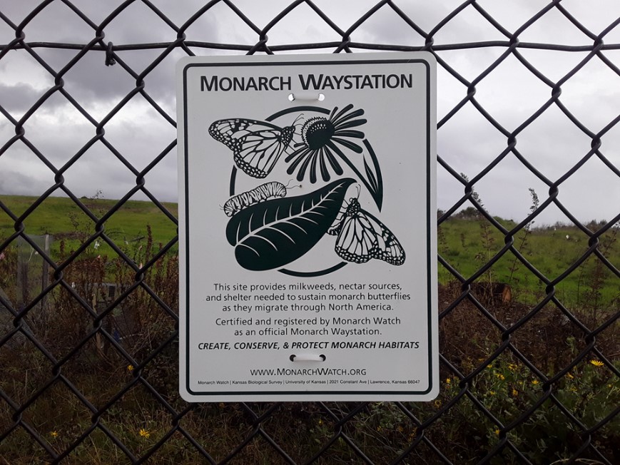 Monarch Sign